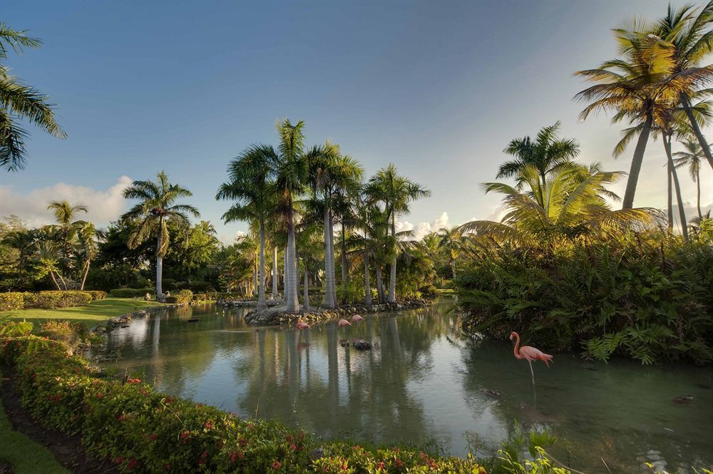 The Level At Melia Caribe Beach (Adults Only) Punta Cana Exteriör bild