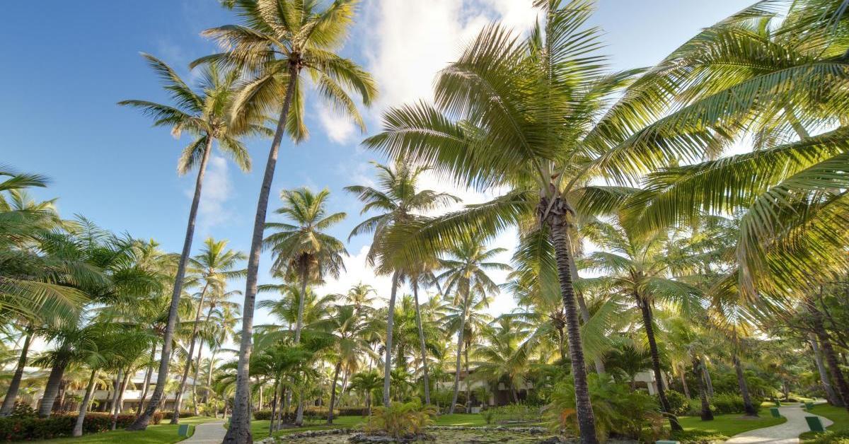 The Level At Melia Caribe Beach (Adults Only) Punta Cana Exteriör bild