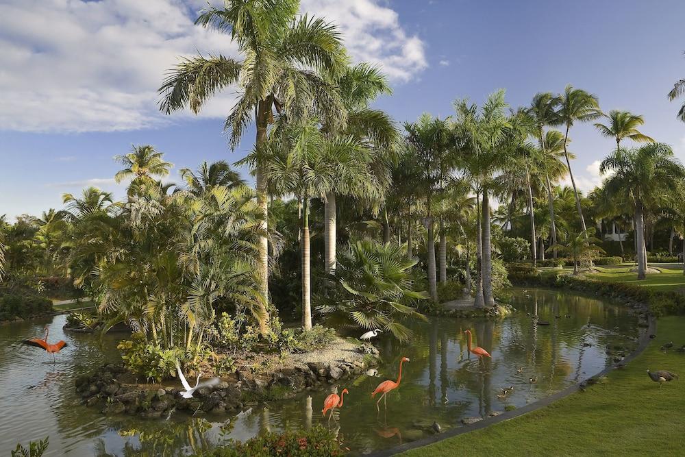 The Level At Melia Caribe Beach (Adults Only) Punta Cana Exteriör bild
